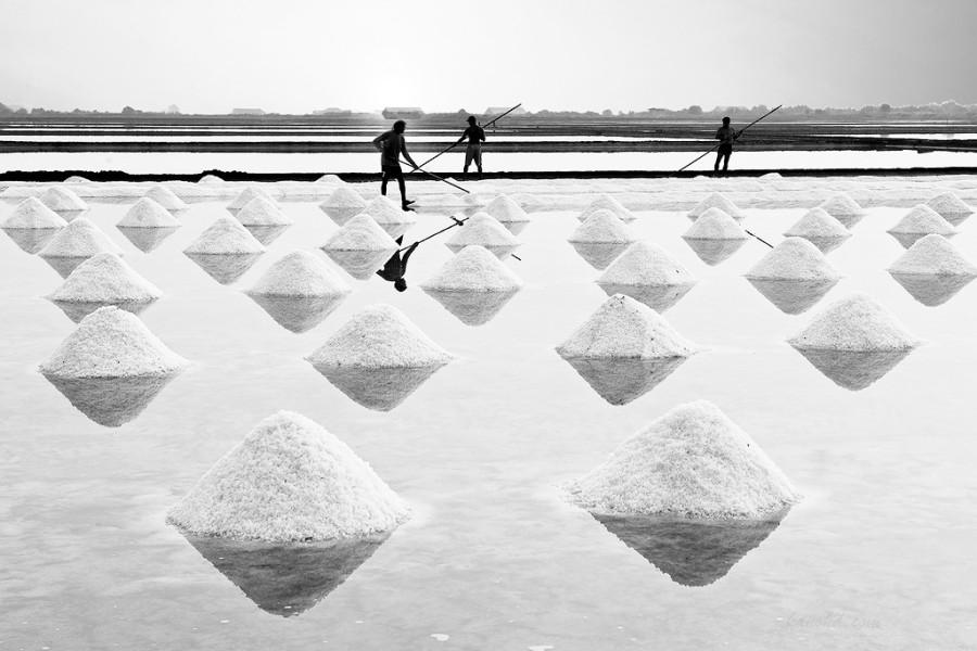 A salt field, because I am salty