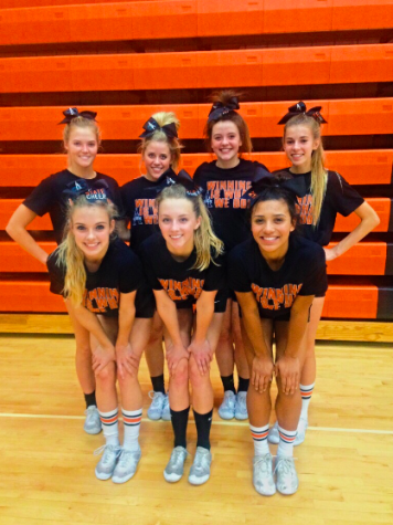 AHS competitive cheerleaders dominate All-State squad