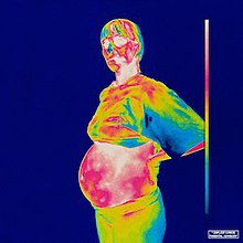 Quick Tunes: Iridescence by Brockhampton