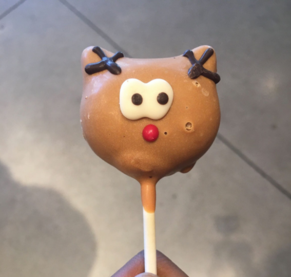 The reindeer cake pop Varun purcahsed during our visit to Starbucks.