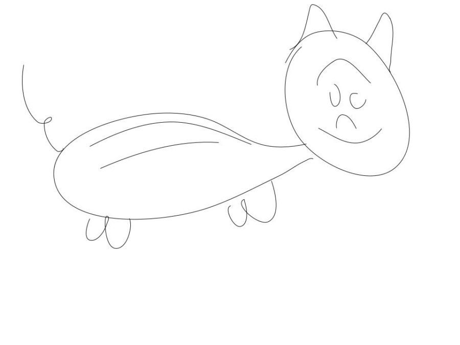 Chunky Cat
