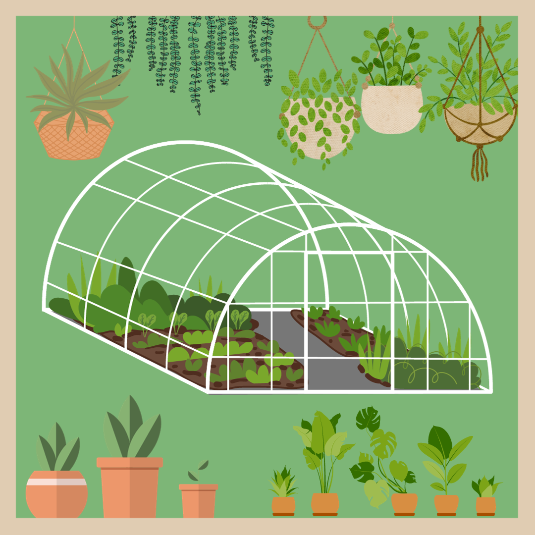 The greenhouse will give students the opportunity to take a hands-on approach to biology. Students will be given the opportunity to curate plant species of their choice and be actively involved in every step of the process. This image was created with Canva. 