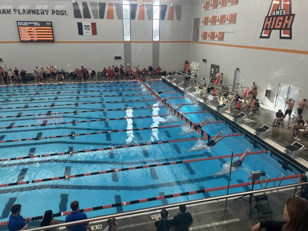 Swimmers dive from their blocks at the start of the 100 yard butterfly.